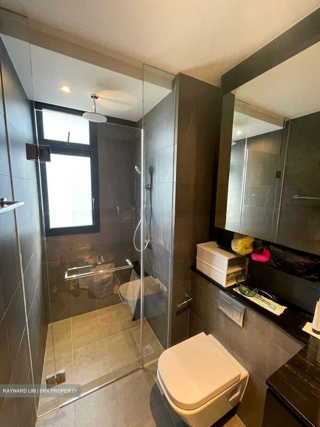 Park Colonial (D13), Condominium #499742731